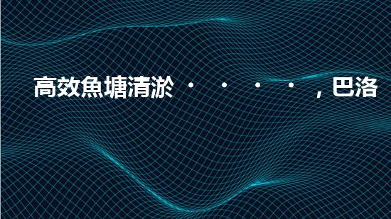 高效魚塘清淤，巴洛仕設(shè)備助力生態(tài)養(yǎng)殖
